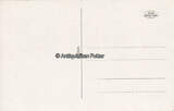 O.J. Ansichtskarte / Postkarte / Leipzig Zoo. Löwenzwinger 1-2