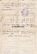 Deutsches Reich / Rumänien 1940 - 1941 Rückkehrerausweis, Einbürgerungsurkunde und Auszug aus dem Heiratsregister 2-3
