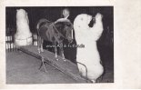 Hamburg Ansichtskarte/Postkarte/Altmeister Willy Hagenbeck in seinem Element/Circus -