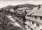 Bödefeld/Hochsauerland Ansichtskarte/Postkarte/Gasthof - Pension Albers -