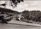 Medebach-Düdinghausen Ansichtskarte/Postkarte/Liebfrauenheim -