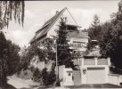 Hallenberg Ansichtskarte/Postkarte/Pension Haus Sonnenhang -