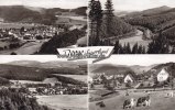 Berge/Sauerland Ansichtskarte/Postkarte/Berge/Sauerland -