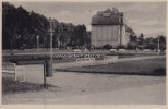 Dirschau/Tczew/Polen/Pommern Ansichtskarte/Postkarte/Dirschau - Parkanlage -