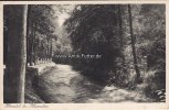 Hönnetal/Balve/Menden/Westfalen Ansichtskarte/Postkarte/Hönnetal bei Klusenstein -