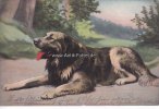 Deutsches Reich Ansichtskarte/Postkarte/Hund -