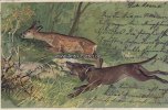 Deutsches Reich Ansichtskarte/Postkarte/Künstlerkarte/Prägekarte/signiert Heyer/Hund jagd Reh -