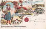 Hamburg Ansichtskarte/Postkarte/Litho/Gruss aus Hamburg 1897/Allgemeine Gartenbau- ... -