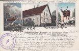 Bad Lippspringe/Teutoburger Wald Ansichtskarte/Postkarte/Sommerfrische "Heimat" im Teutoburger Walde b. Bad ... -