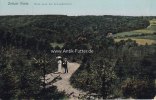 Zeitz Ansichtskarte/Postkarte/Zeitzer Forst. Blick nach der Schneidemühle. -