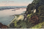 Hohenwarte Ansichtskarte/Postkarte/Hohenwarte. Der Weinberg. -