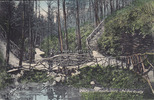 Zeitz Ansichtskarte/Postkarte/Zeitz Im Knittelholz An der Quelle. -