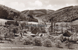 Dörnholthausen / Stockum / Sundern (Sauerland) Ansichtskarte / Postkarte / Sommerfrische Dörnholthausen (Sauerland) -