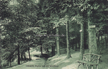 Hagen/Westfalen Ansichtskarte / Postkarte / Hagen, Partie bei der Waldlust -