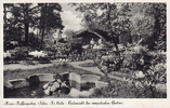 Sülze, Kr. Celle Ansichtskarte / Postkarte / Heins Kaffeegarten, Sülze, Kr. Celle - Teilansicht.. -