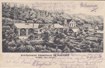Wolfenbüttel Ansichtskarte / Postkarte / Wald-Restaurant Antoinettenruh bei Wolfenbüttel ... -
