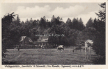 Osterwald (Kr. Hameln-Pyrmont) Ansichtskarte / Postkarte / Waldgaststätte Sennhütte b. Osterwald ... -