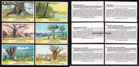 Drittes Reich Reklamebilder / Liebig-Bilderserie Nr. 1077 (Serie II.) (Spielhagen) / ... -