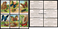 Drittes Reich Reklamebilder / Liebig-Bilderserie Nr. 1065 (Spielhagen) / Tropische ... -
