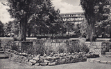 Ahlen (Westf.) Ansichtskarte / Postkarte / Ahlen (Westf.) - Stadtpark und Krankenhaus -