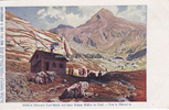 Tirol/Wien/Österreich Hütten / Wiener Künstler-Postkarte / Philipp & Kramer / Schutzhäuser d. ... -