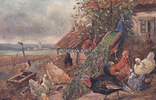 Österreich / Wien Ansichtskarte / Künstlerkarte / Hühner, Pfau / B.K.W.I.-Brüder Kohn Wien I. -