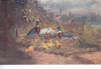 Österreich / Wien Ansichtskarte / Künstlerkarte / Enten, Geflügel / B.K.W.I.-Brüder Kohn Wien I. -