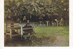 O.J. Ansichtskarte / Künstlerkarte/ G.Hirt`s Verlag, München / Jugend - Postkarte 2