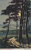 Deutsches Reich / Worpswede 1907 Ansichtskarte / Künstlerkarte / S. Wencke - Worpswede / Mondschein 2