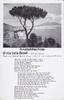 Drittes Reich Ansichtskarte / Liederkarte / O Mia bella Napoli / Lied und Tango / Text von... -