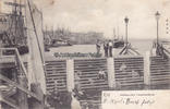 1902 Ansichtskarte / Postkarte / Kiel Hafenparthie (Jensenbrücke). 2-3