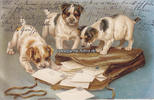 Deutsches Reich Ansichtskarte / Postkarte / Künstlerkarte / Hunde an der Posttasche -