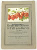 Deutsches Reich E. Junge/Unser Beerenobst in Feld und Garten / Garteninspektor und Oberlehrer.. -