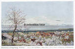 Bodensee Ansichtskarte / Postkarte / Künstlerkarte v. Prof. Diemer / Bodensee und... -
