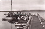 Buchau / Federsee / Württemberg Ansichtskarte / Postkarte / Federseesteg mit Plattform -