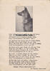 Hannover Ansichtskarte / Postkarte / Mein Hundekamerad / W. Tappe, Hannover -
