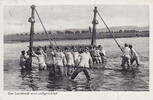 Drittes Reich Ansichtskarte / Postkarte / Wehrmacht - Bildserie / Der Landbock wird ... -