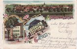 1906 Lithografie/Gruss aus Erbesbüdesheim./Total-Ansicht/Krieger-Denkmal/Schlossgut 3