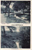 Nieheim i. Westf. Ansichtskarte/Nieheim i. Westf./Im Schützenhof. / Nikolausbrunnen. -