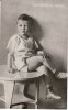 Deutsches Reich Ansichtskarte/Postkarte/Prinz Wilhelm von Preussen. -