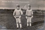 Deutsches Reich Ansichtskarte/Postkarte/Die beiden ältesten Söhne unseres Kronprinzenpaares. -