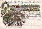 Lüdenscheid, Worth Litho/Gruss aus Lüdenscheid, Worth/Gustav Turck, Restaurant./Wintergarten mit... -