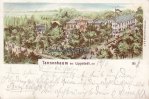 Lippstadt Litho/Tannenbaum bei Lippstadt, den -