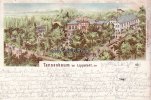 Tannenbaum bei Lippstadt Litho/Tannenbaum bei Lippstadt, den -