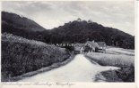 Rinteln/Paschenburg/Schaumburg O.J. Ansichtskarte/Postkarte/Paschenburg und Schaumburg (Wesergebirge) 2