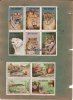 Dresden 10 Reklamemarken Zoo Dresden/Rückseitig 7 Marken Seemanns=Erholungsheim -