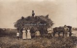 Deutsches Reich Ansichtskarte/Postkarte/Erntefest 1919. -