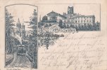 Königswinter/Drachenfels Litho/Vorläufer/Gruss vom Drachenfels/Drachenburg -