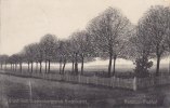 Friedrichsfeld/Wesel Ansichtskarte/Postkarte/Gruss vom Truppenübungsplatz Friedrichsfeld/Franzosen... -
