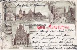 Münster Litho/Gruss aus Münster i/Westf./Rathaus/Ludgerus Brunnen/Dom-Kirche/... -